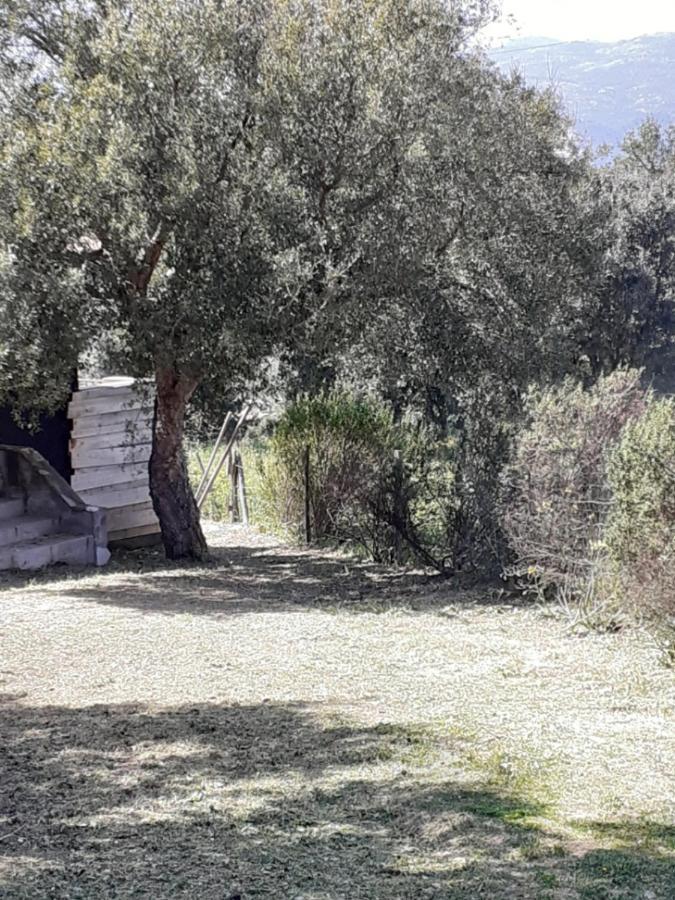 Вилла Casa Gattu Порто-Веккьо Экстерьер фото